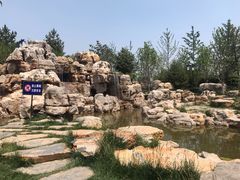 -西海子公园