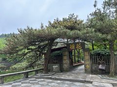 -庐山风景区花径公园