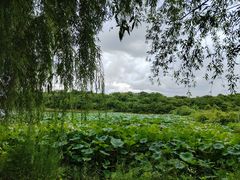 -盘龙城国家考古遗址公园