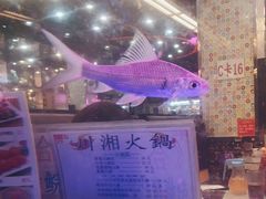 -新辉港式茶餐厅(北栅店)