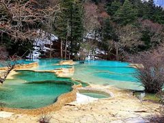 -黄龙山原始森林景区