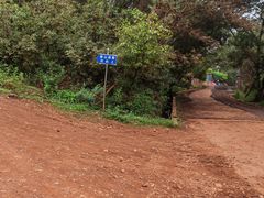 -长虫山生态公园风景林