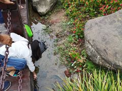 -重庆彩云湖湿地公园