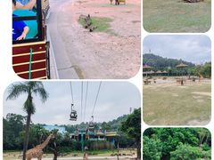 -广州长隆野生动物世界