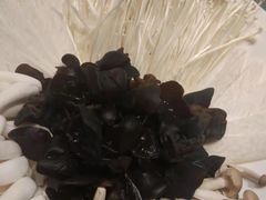 -爱丽格斯火锅(东岸国际店)
