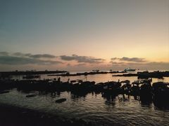 -硇洲岛旅游区
