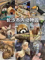 -Zoolung Zoolung动物主题公园(海信广场店)