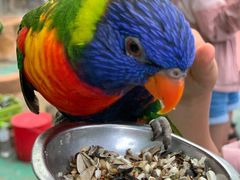 -西霞口神雕山野生动物世界