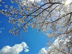 -金泽21世纪美术馆