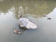 -海珠湖公园