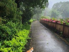 -晓港公园