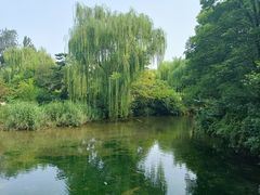 -趵突泉景区