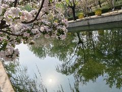 -元大都城垣遗址公园