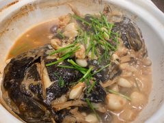 砂锅碟鱼头-隆喜元鱼汤包·海鲜(中联广场店)