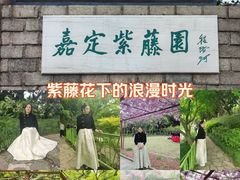 -嘉定紫藤园