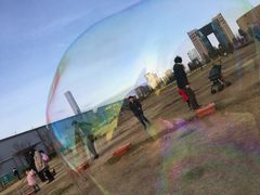 -台场海滨公园船码头