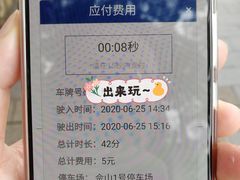 -上海佘山国家森林公园东门地面停车场