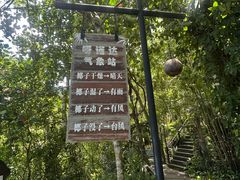 -呀诺达热带雨林