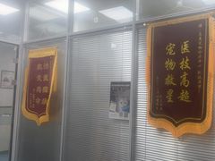 -美美宠物诊疗中心·异宠·骨科(滨江东信分院)