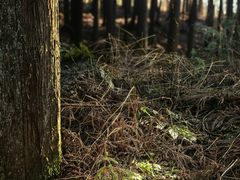 -山王坪喀斯特国家生态公园