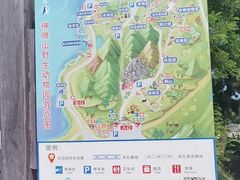-西霞口神雕山野生动物世界
