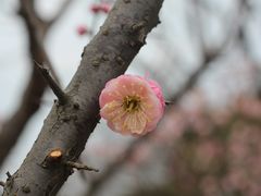 -七桥瓮公园