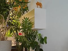 -懒人盐府人家(航天桥店)