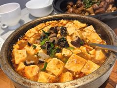 鲜花椒红参煨豆腐-狮王府淮扬菜(百家湖1912店)