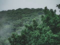 -广州市白云山风景名胜区