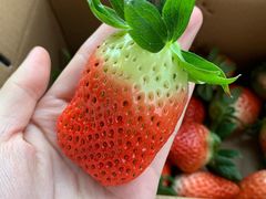 -哈根达斯(济南万象城店)