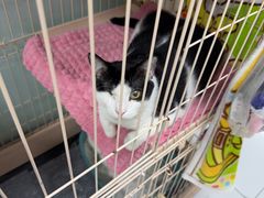 -嘉馨宠物医院·CT影像转诊·心脏科·犬猫全科诊疗中心(下沙大学城院区)