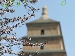-大慈恩寺(大雁塔)
