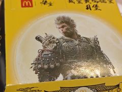 -麦当劳(岚皋路品尊国际店)