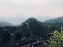 -雅安楠水阁温泉酒店