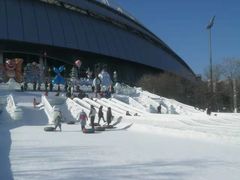-沈阳奥体冰雪嘉年华