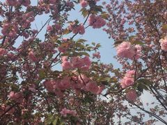 -星巴克(成都科学城店)