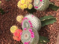 -南通洲际绿博园