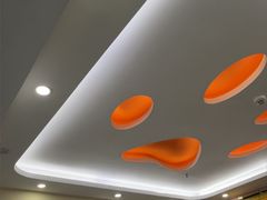 -全心全意连锁动物医院·微创中心·内科急重症·心脏专科(丰管路店)
