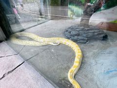 -贵州森林野生动物园