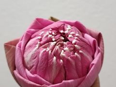 -瓦洛洛传统市场