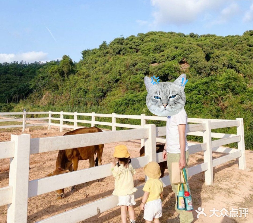 [亲亲]阿菠萝小猪的王国也是小宝贝们的欢乐王国