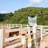 [亲亲]阿菠萝小猪的王国也是小宝贝们的欢乐王国