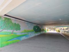 -新江湾城公园