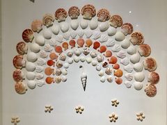 -青岛贝壳博物馆