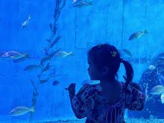 -泉城欧乐堡海洋极地世界