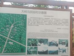 -大岭沟猕猴桃谷风景区