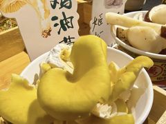 -菌自由丨野生菌火锅特色庭院餐厅(丽江古城店)