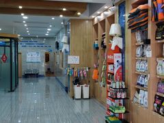 -瑞派名望志远动物医院·猫科·內科·异宠专科(直港大道店)