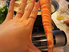 -鲜入围煮花胶鸡海鲜火锅