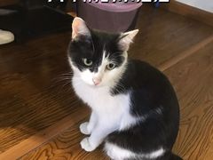-大成海鲜烧烤·龙虾(南方商城店)